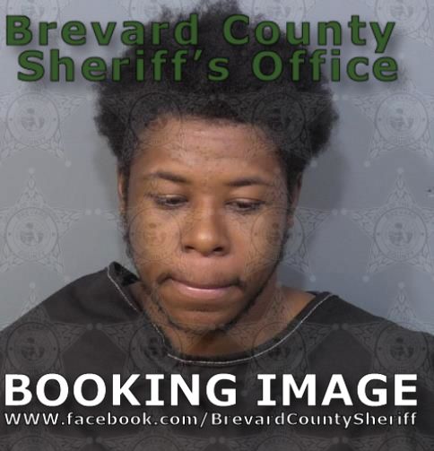 Booking Details - Inmate Search