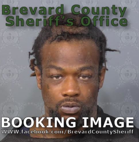 Booking Details - Inmate Search