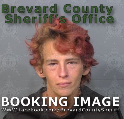 Booking Details - Inmate Search
